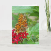 赤いペンタの花のガルフフリティラリー・バタフライ カード (正面)