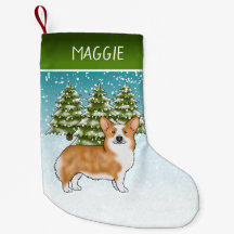 赤いペンブロークウェルシュコーギー 冬の森 クリスマス
