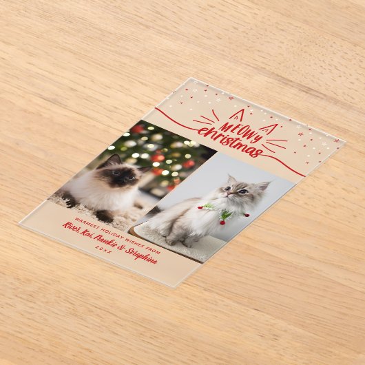 赤いホワイトスターズ2猫の写真マイクリスマス アクリル招待状 (レイダウン)
