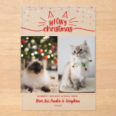 赤いホワイトスターズ2猫の写真マイクリスマス アクリル招待状 (正面)