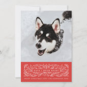 赤いホーリーの葉とペットの写真 シーズンカード (正面)