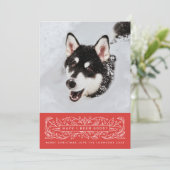 赤いホーリーの葉とペットの写真 シーズンカード (スタンド正面)