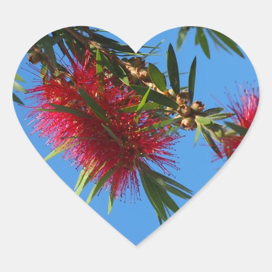 赤いボトルブラシハートシール ハートシール (正面)