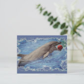 赤いボールで泳ぐボトレスイルカ ポストカード (スタンド正面)