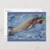 赤いボールで泳ぐボトレスイルカ ポストカード (正面/裏面)