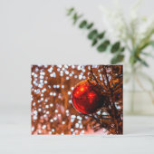 赤いボール、白い照明灯 ポストカード (スタンド正面)