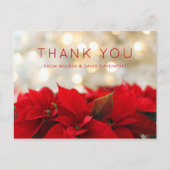 赤いポインセチアとゴールドのぼかしが美しいクリスマスの感謝 ポストカード (正面)
