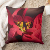 赤いポインセチアのクリスマススターフラワー クッション (ブランケット)