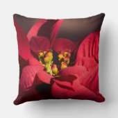 赤いポインセチアのクリスマススターフラワー クッション (裏面)