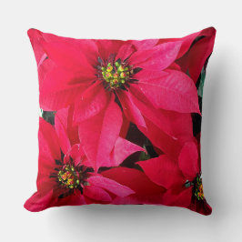 赤いポインセチア クッション