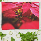 赤いポインセティアスの花 キッチンタオル (折り畳み)