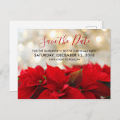 赤いポインセティアスクリスマス日付を保存 ポストカード (正面/裏面)