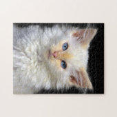 赤いポイントを持つクリーム色のシャムの子ネコ ジグソーパズル (横)