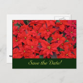 赤いポイントポストカード日付の保存 案内ポストカード (正面/裏面)