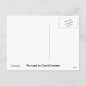 赤いポストカードのクリスマス シーズンポストカード (裏面)