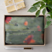 赤いポップフィールドの分離 薄葉紙 (ギフト)