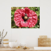 赤いポピーかわいらしフラワーマクロプリント ポスター (キッチン)