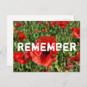 赤いポピーのはがき ポストカード (正面/裏面)