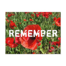 赤いポピーのはがき