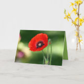 赤いポピーのシードのグリーティングカード カード (黄色い花)