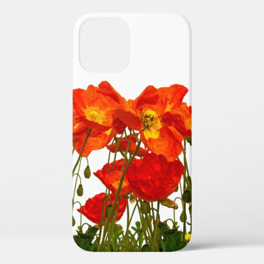赤いポピーのラインisolatedart、背景、美しい Case-Mate iPhoneケース (裏面)