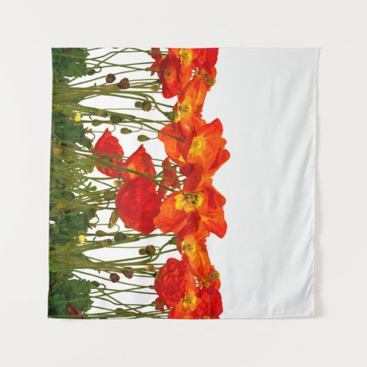 赤いポピーの列の孤立したアート、背景、美しい、美しさ、誕生日、咲く、咲いている、花を咲かせる、明るい タペストリー (正面(横))