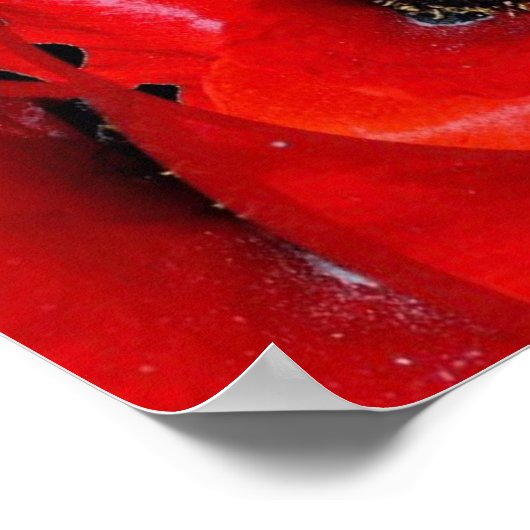 赤いポピーの思い出をテーマにしたポスター ポスター (角)