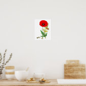 赤いポピーの花のポスタープリント#8 ポスター (キッチン)
