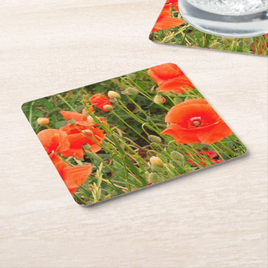 赤いポピーの花カスタムは、コースター スクエアペーパーコースター (アングル)