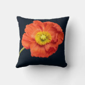 赤いポピーの花フォトフレームモダン卒業 クッション (裏面)