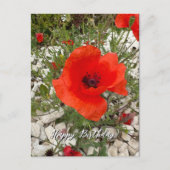 赤いポピーの花ポルトガル写真旅行 シーズンポストカード (正面)