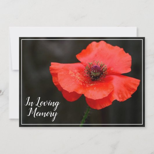 赤いポピーの追悼式の葬儀発表 招待状 (正面)