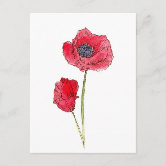 赤いポピー花の水彩植物画 ポストカード (正面)