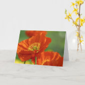赤いポピー カード (黄色い花)