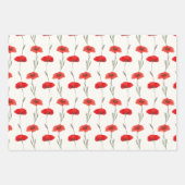 赤いポピー ストライプ（縞模様） パステルグリーンとピンク ラッピングペーパーシート (正面3)