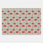 赤いポピー ストライプ（縞模様） パステルグリーンとピンク ラッピングペーパーシート (正面)