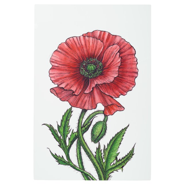 赤いポピー、水色、インク メタルプリント (正面)