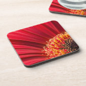 赤いマクロガーベラのデイジーの花 コースター (左側)