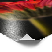 赤いマクロガーベラ花 フォトプリント            (角)