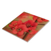 赤いマルメロの花 タイル (側面)