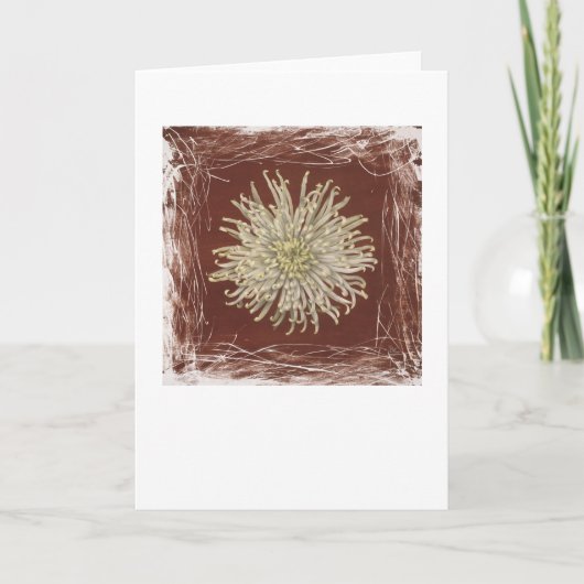 赤いミイラカード カード (正面)