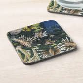 赤いミノカサゴのコースター コースター (左側)