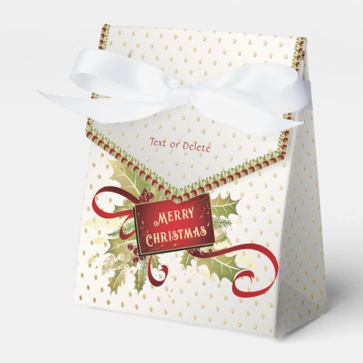 赤いモダンクリスマスホリデーギフトボックス フェイバーボックス (正面サイド)