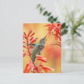 赤いユッカに囲まれたハミングバード ポストカード (スタンド正面)