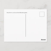 赤いユッカに囲まれたハミングバード ポストカード (裏面)