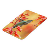 赤いユッカに囲まれたハミングバード マグネット (左側)