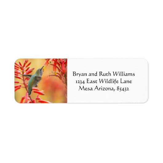 赤いユッカに囲まれたハミングバード ラベル (正面)