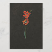 赤いユリのダッチマスター絵画 プログラム (裏面)