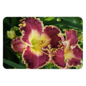 赤いユリ マグネット (横)