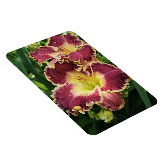 赤いユリ マグネット (右側)